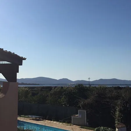Paradise Il Geco