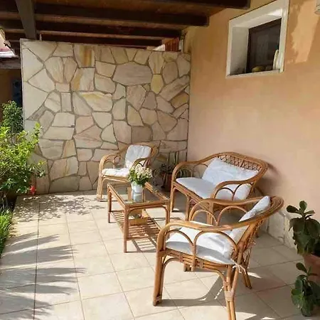 Paradise Il Geco