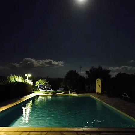 Paradise Il Geco *
