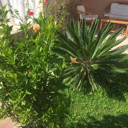 Ferienhaus Paradise Il Geco *